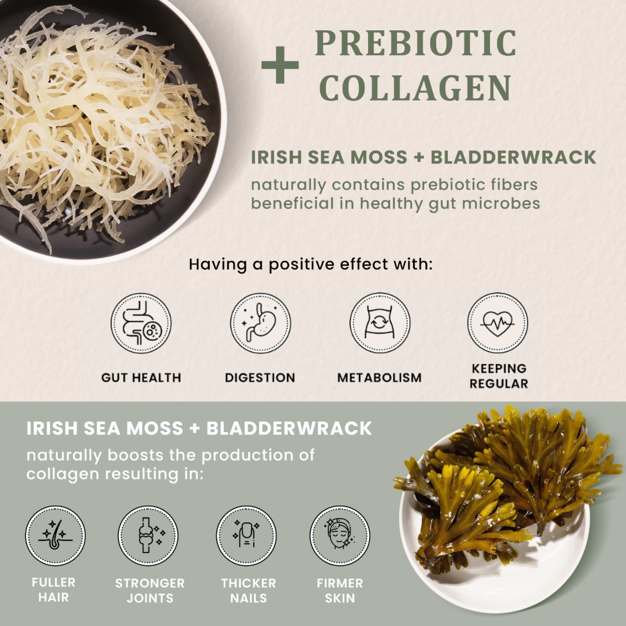 HAPPY FOX Sea Moss Collagen Supplement 91g nutritional information
