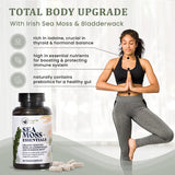 HAPPY FOX Sea Moss Collagen Supplement 91g organic ingredients
