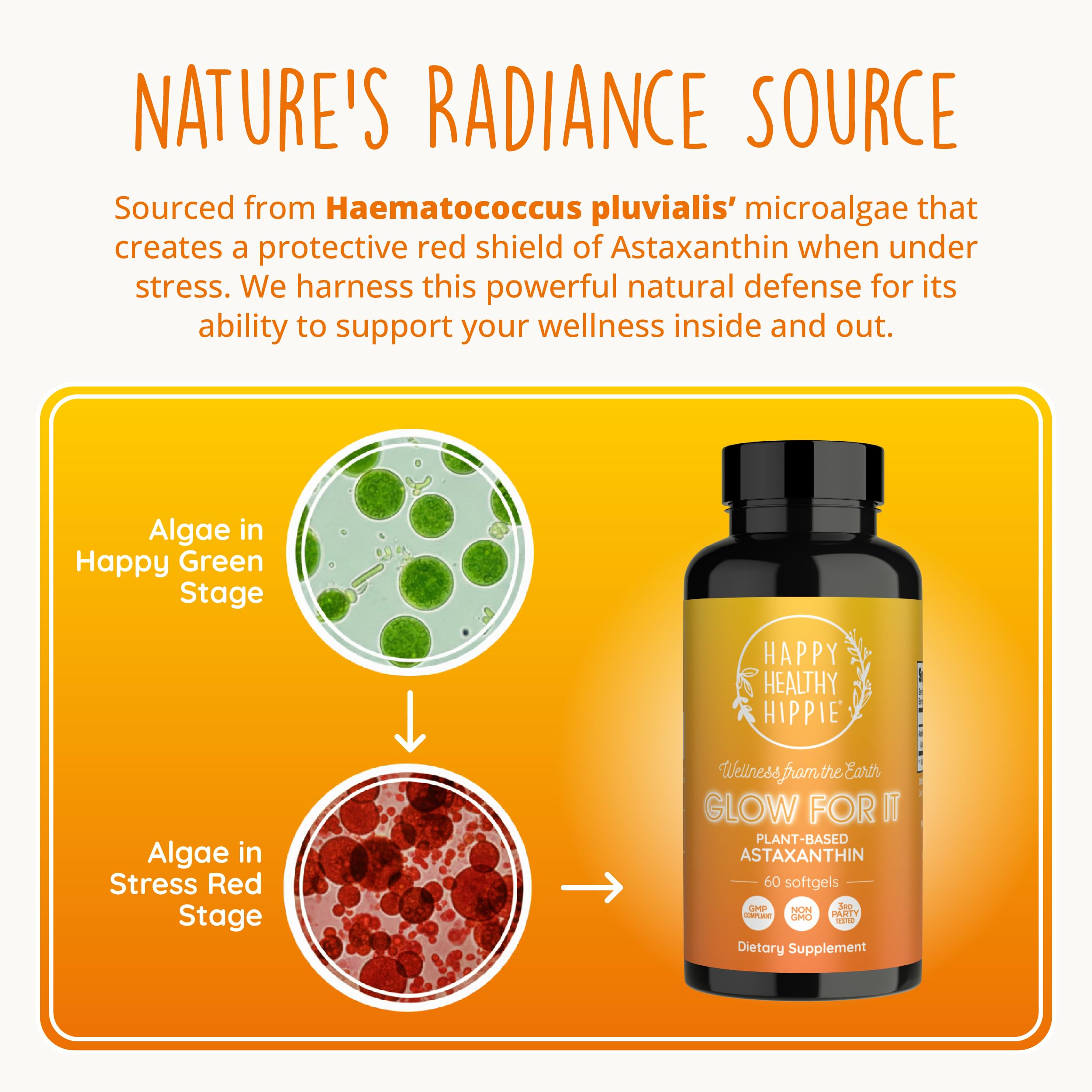Happy Healthy Hippie Astaxanthin softgel bottle open with softgels
