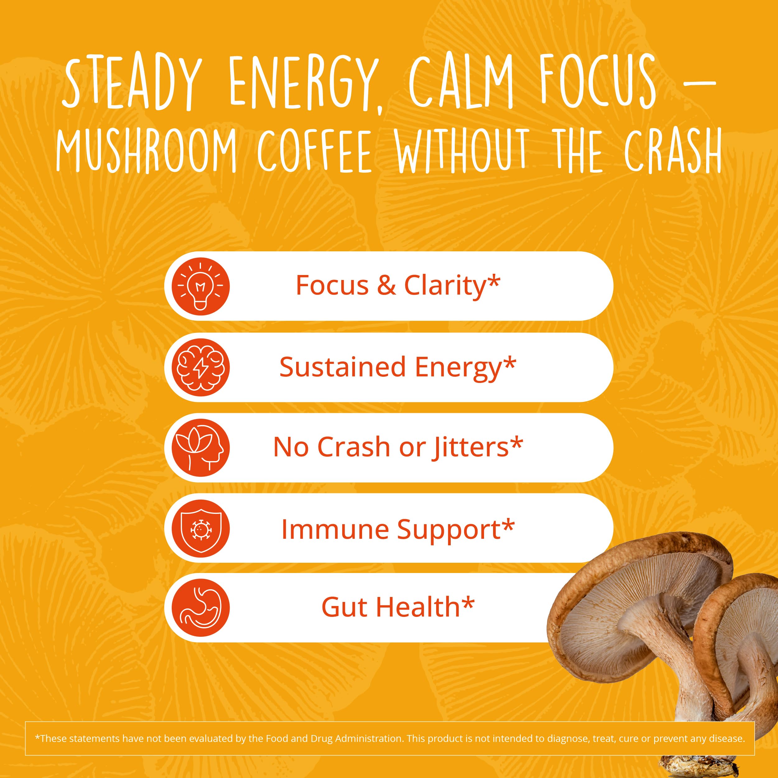 Happy Healthy Hippie Mushroom Coffee back view with ingredients