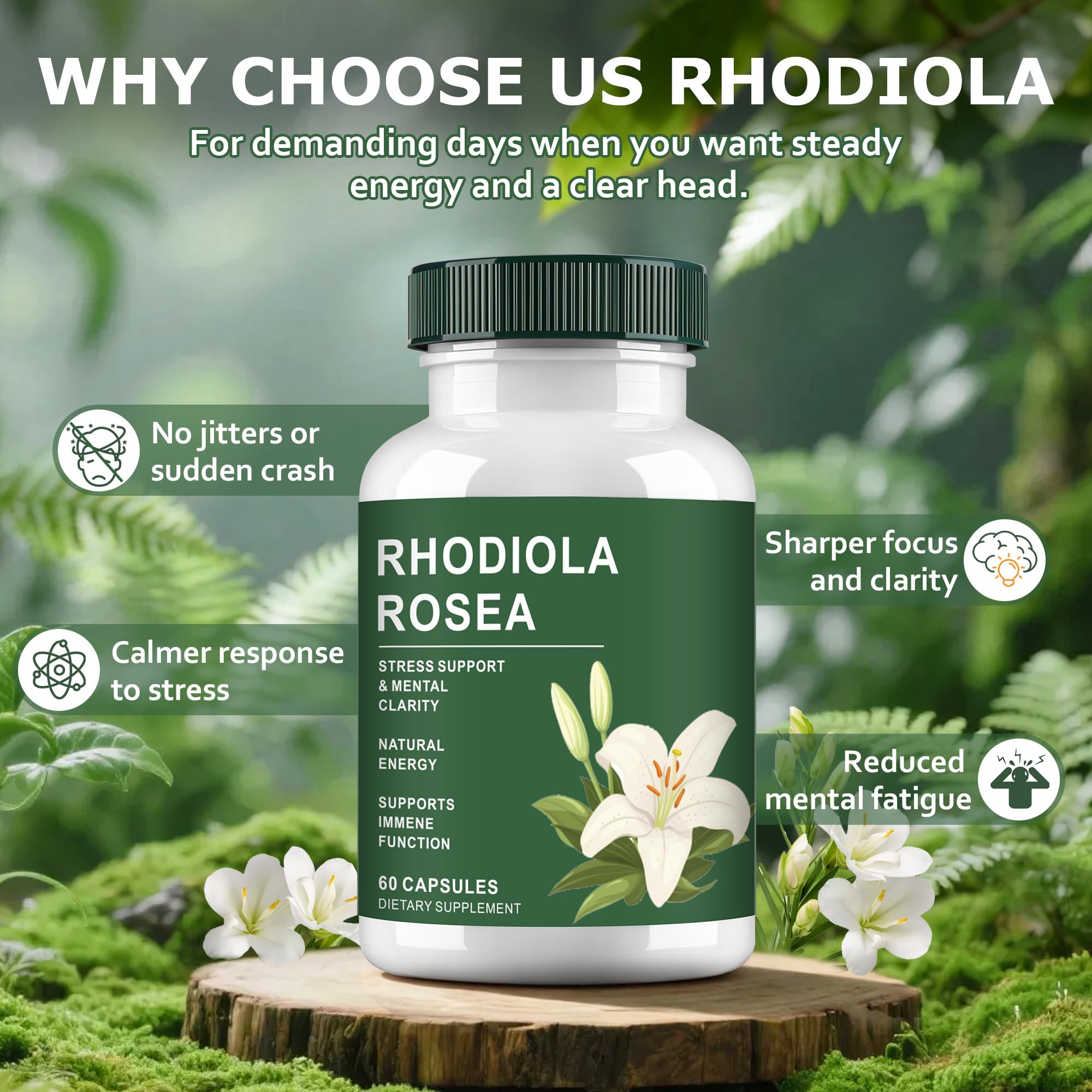 Haqeed Rhodiola Rosea Capsules open bottle with capsules