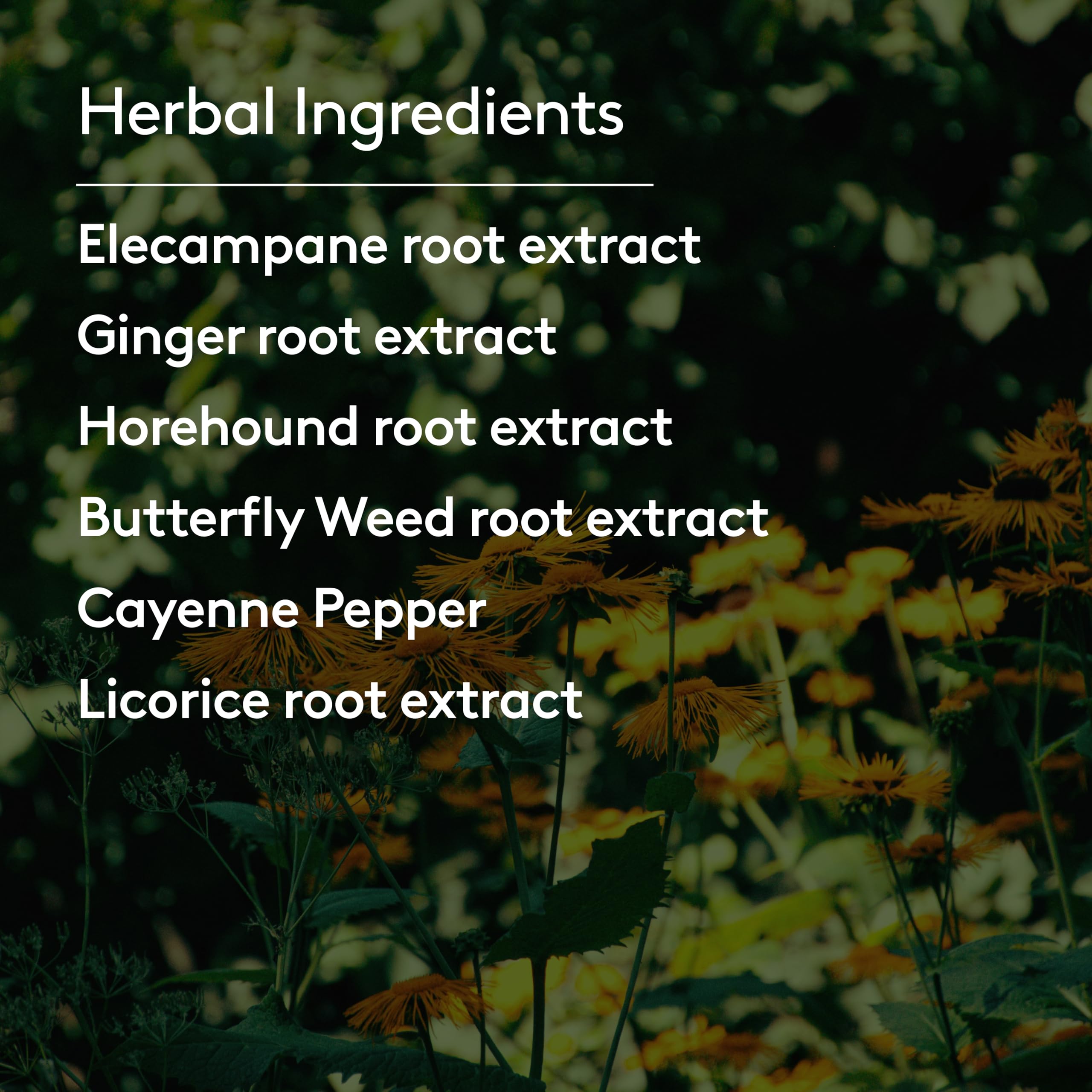 Harker Herbals Mullein Herbal Supplement 82g bottle with cap