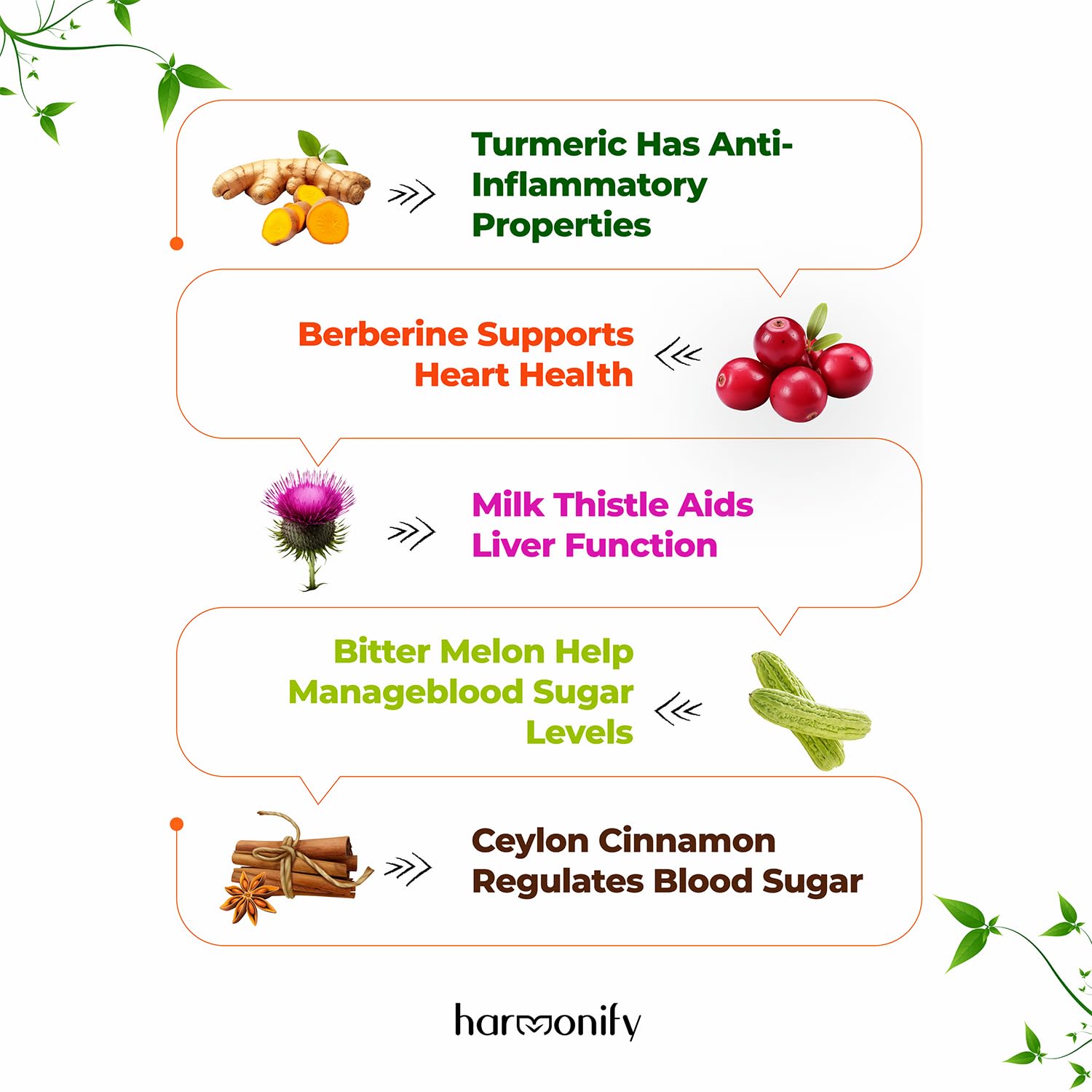 HARMONIFY Berberine Supplement bottle with a measuring spoon