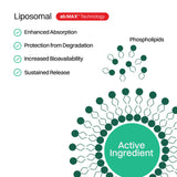 Haroutine Liposomal Vitamin C Powder Sticks in a glass of water