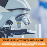 HARVEST NATURALS Palmitoylethanolamide (PEA) capsules ingredients list