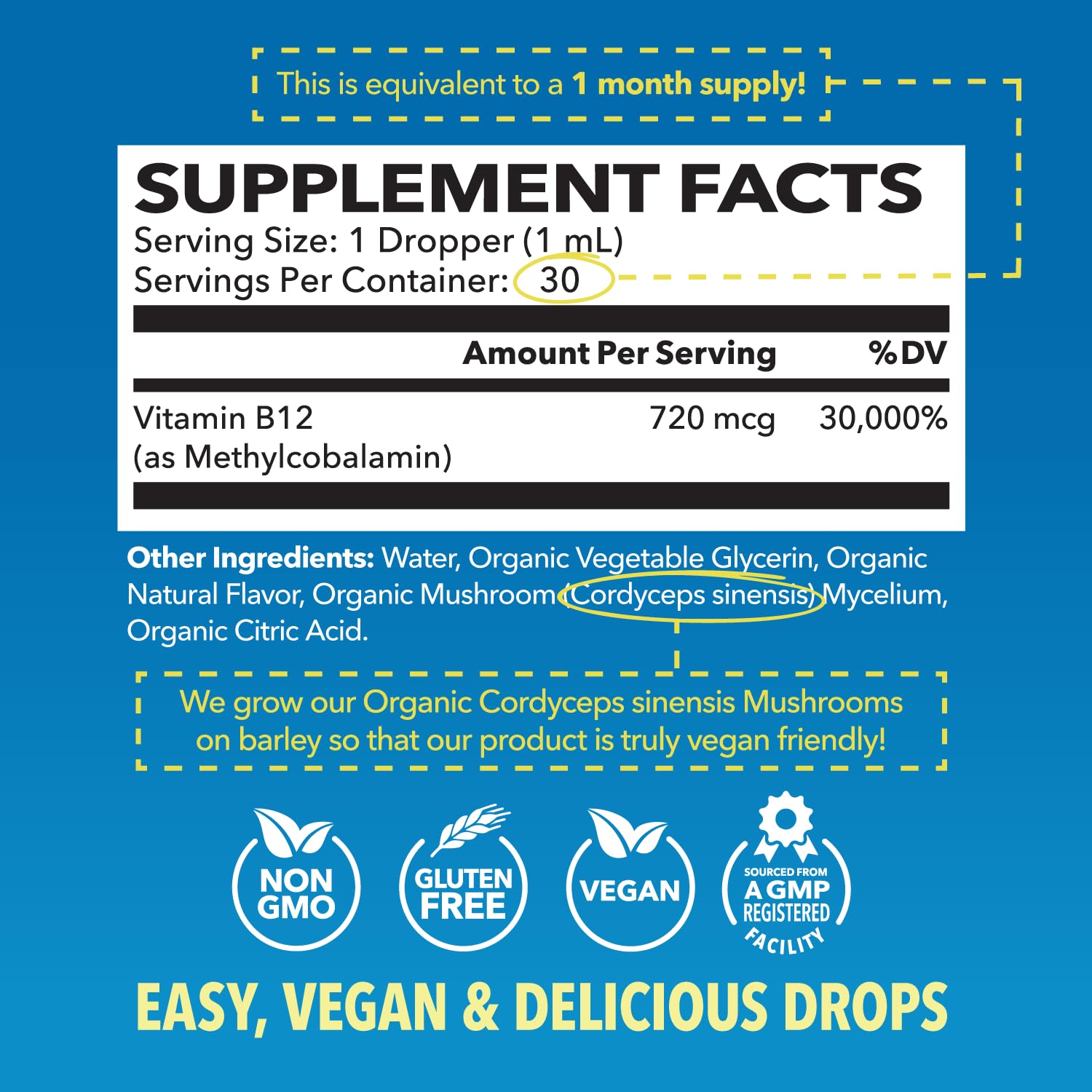 HAVASU NUTRITION B12 Liquid Drops bottle side view