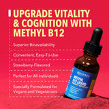 HAVASU NUTRITION B12 Liquid Drops nutritional information
