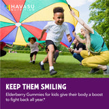 HAVASU NUTRITION Elderberry Gummies for Kids bottle back view