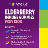 HAVASU NUTRITION Elderberry Gummies for Kids gummies close-up