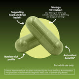 HAVASU NUTRITION Moringa Leaf Extract Capsules close-up of capsules
