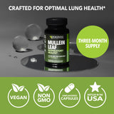 HAVASU NUTRITION Mullein Leaf Capsules displayed with herbs