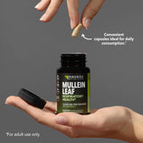 HAVASU NUTRITION Mullein Leaf Capsules with a glass of water