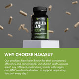 HAVASU NUTRITION Mullein Leaf Capsules with measuring spoon