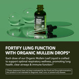 HAVASU NUTRITION Organic Mullein Leaf Extract dropper