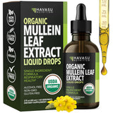 HAVASU NUTRITION Organic Mullein Leaf Extract front view
