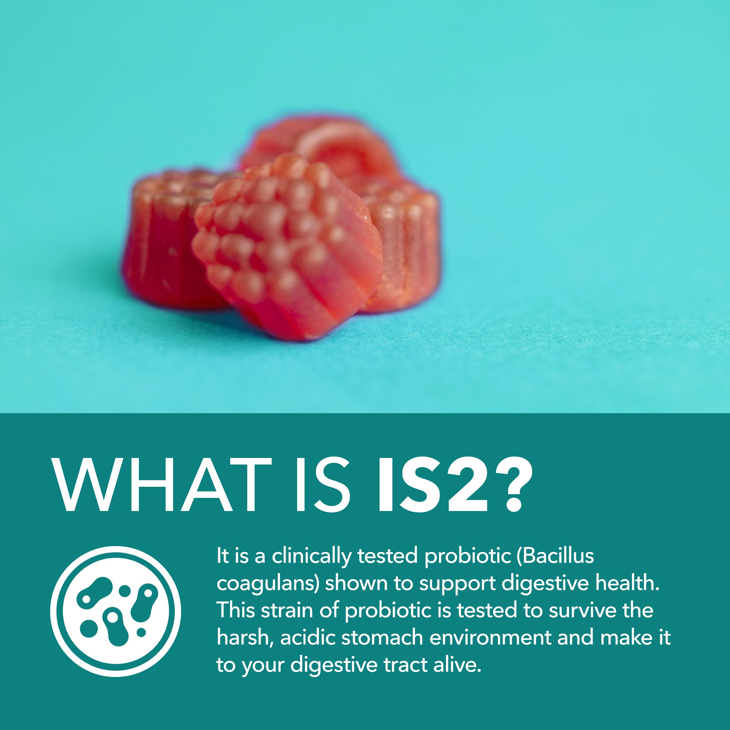 HAVASU NUTRITION Probiotic Gummies with fresh berries