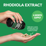 HAVASU NUTRITION Rhodiola Rosea Extract 375mg capsules in a lifestyle setting