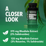 HAVASU NUTRITION Rhodiola Rosea Extract 375mg capsules on a wooden surface