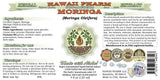 Hawaii Pharm Moringa NON-Alcohol Liquid Extract bottle side view