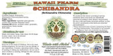 Hawaii Pharm Schisandra Liquid Extract 136g bottle with label