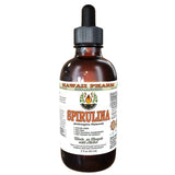 Hawaii Pharm Spirulina Non-Alcohol Liquid Extract 57g front view