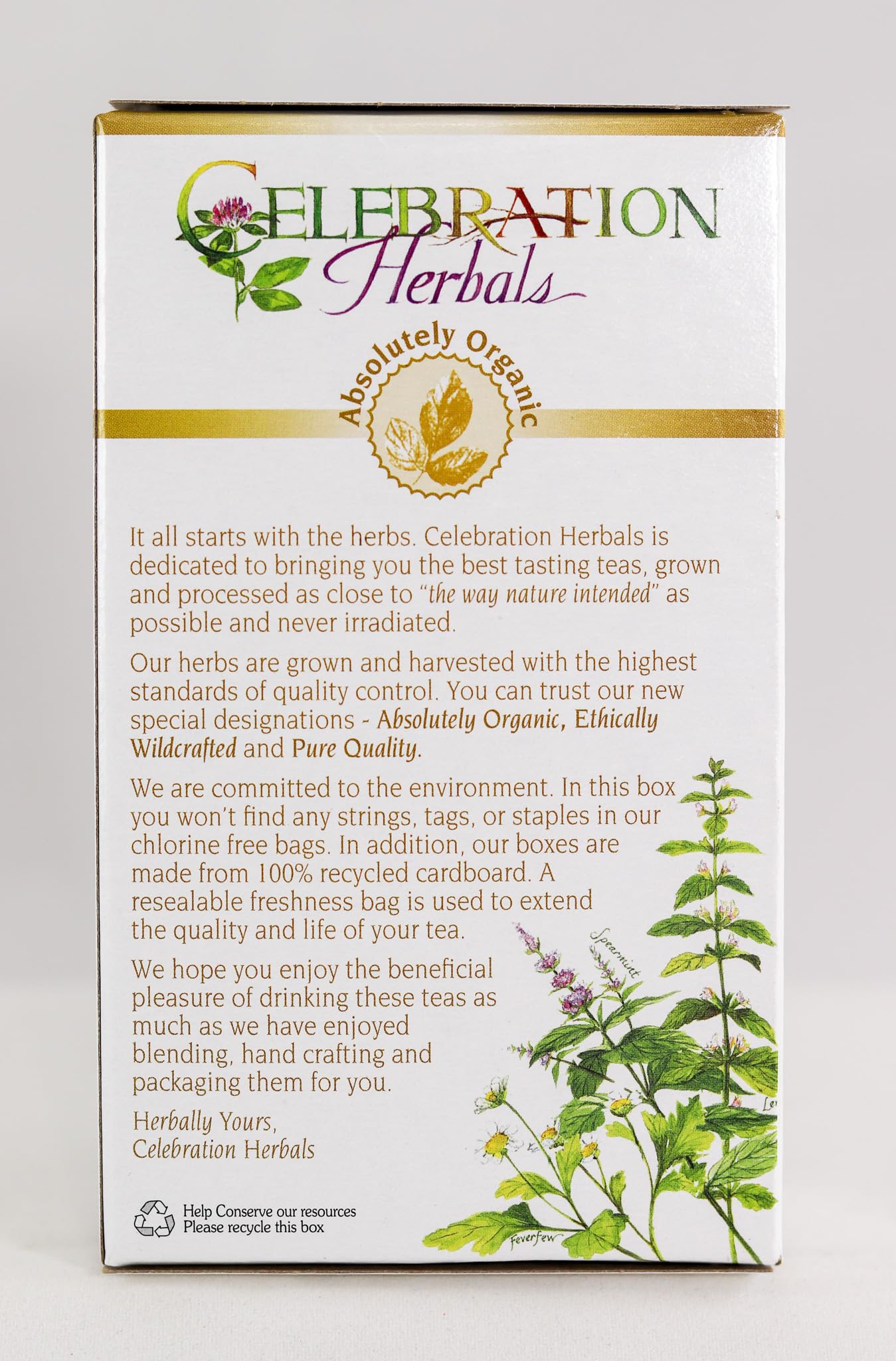Hawthorn Tea filter paper microplastic-free