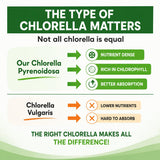 HCL HERBAL CODE LABS Chlorella Capsules close-up