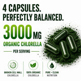 HCL HERBAL CODE LABS Chlorella Capsules in hand
