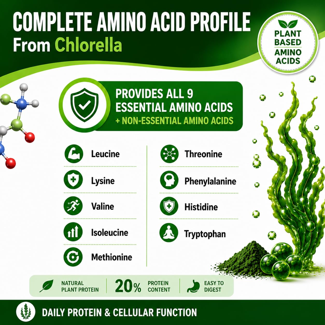 HCL HERBAL CODE LABS Chlorella Capsules on a wooden table