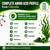 HCL HERBAL CODE LABS Chlorella Capsules on a wooden table