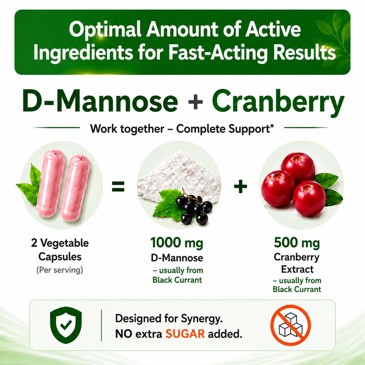 HCL HERBAL CODE LABS Cranberry D-Mannose Supplement back label