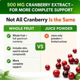 HCL HERBAL CODE LABS Cranberry D-Mannose Supplement lifestyle scene