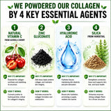 HCL HERBAL CODE LABS Multi Collagen Protein Powder in a smoothie