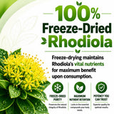 HCL HERBAL CODE LABS Rhodiola Rosea Capsules 500mg in hand