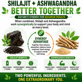 HCL HERBAL CODE LABS Shilajit Capsules opened bottle