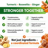 HCL HERBAL CODE LABS Turmeric Curcumin with Boswellia & Ginger 700mg product label