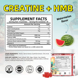 HEALOADING Creatine + HMB Gummies side view