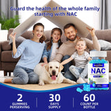 HEALOADING NAC Gummies with fresh fruit background