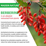 HEALOADING Organic Berberine HCL Gummies lifestyle scene with family