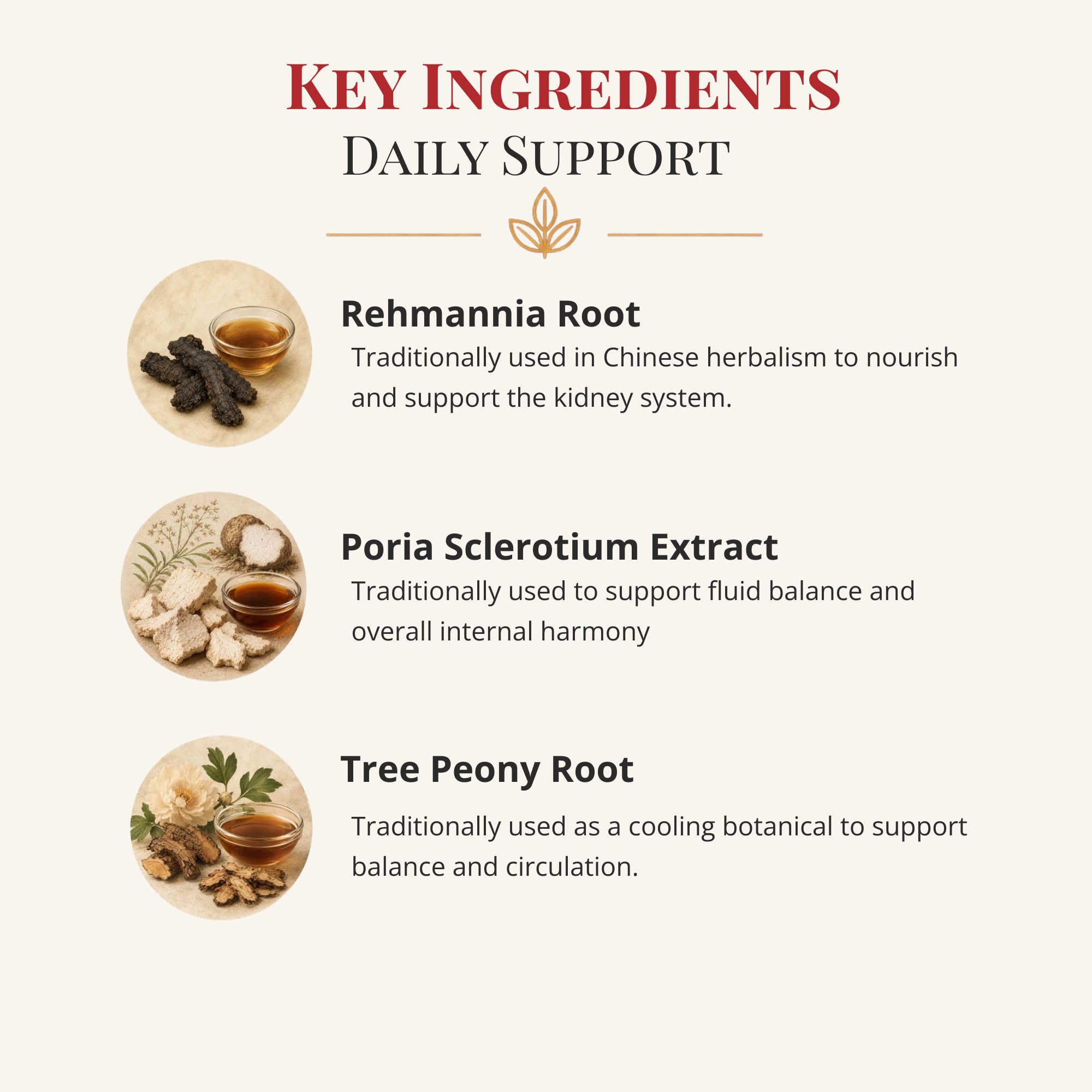 Health Concerns Kidney Support Supplement in a hand