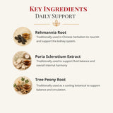 Health Concerns Kidney Support Supplement in a hand