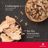 Health Concerns Qi & daily Support capsules on a surface