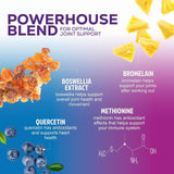 Health Nutrition Naturals Chondroitin supplement packaging