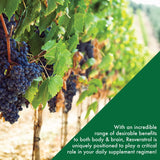 Health Thru Nutrition ResVida Resveratrol Softgels close-up of softgel