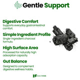 Healthfare Organic Coconut-Sourced Charcoal Capsules in a hand