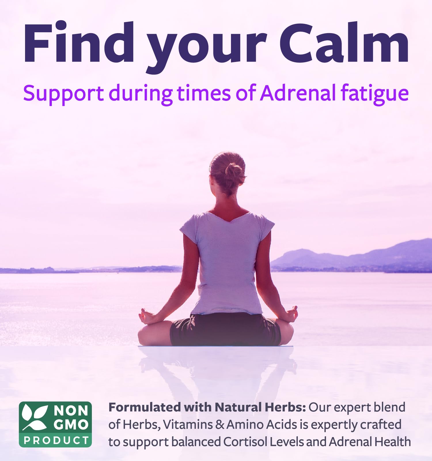 Healths Harmony Adrenal Support Supplement back view with ingredient list