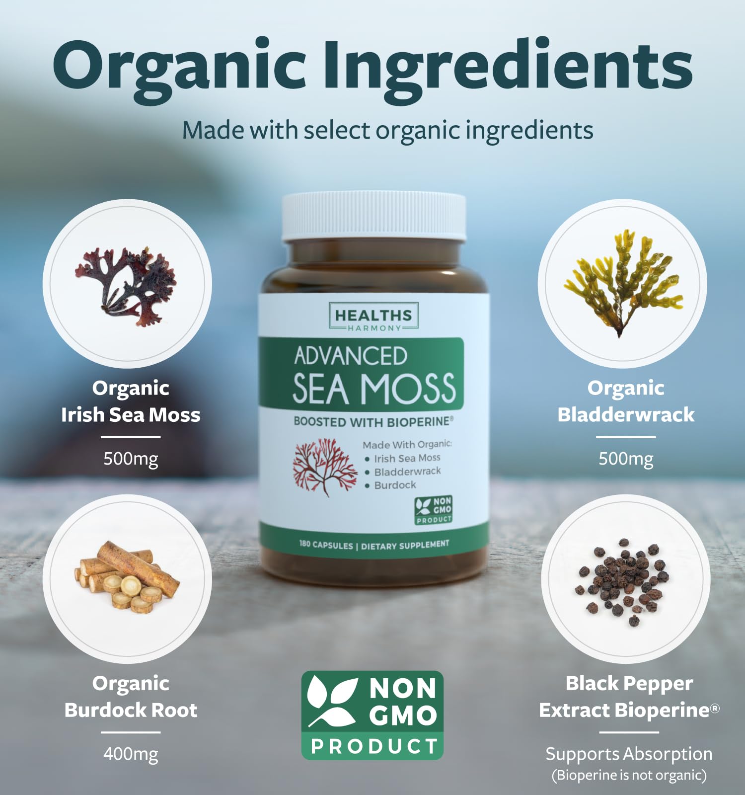 Healths Harmony Sea Moss Supplement capsules in a hand