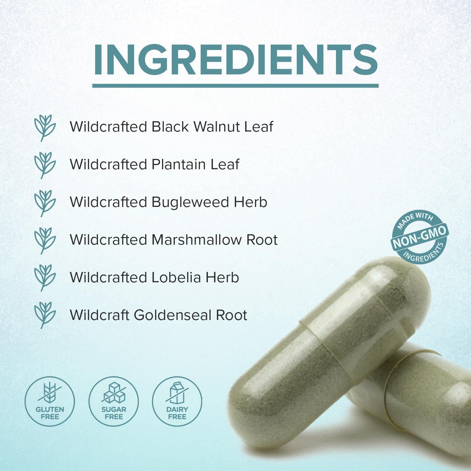 Healthy Day Supplements LymphX 100 Capsules in a lifestyle setting