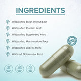 Healthy Day Supplements LymphX 100 Capsules in a lifestyle setting