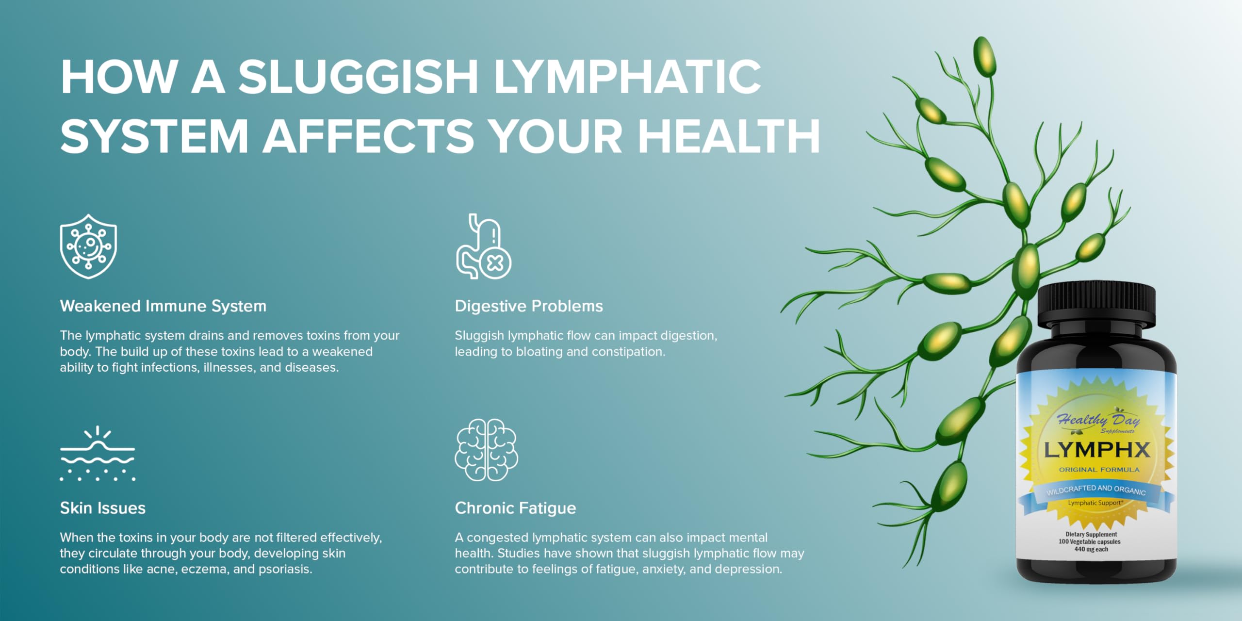 Healthy Day Supplements LymphX 100 Capsules ingredients list